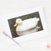 Stickers canard blanc (Enveloppe)