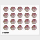 Stickers Carnation blanche et rose (Feuille)