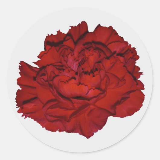 Stickers Carnation Rouge (Devant)