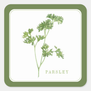 Stickers Carré FRAIS PARSLEY - Vert