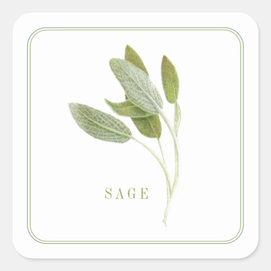 Stickers Carré FRAIS SAGE (Devant)