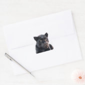 Stickers Carré Jaguar noir (Enveloppe)