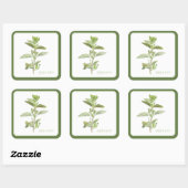 Stickers Carré OREGANO FRAIS (+texte) Vert (Feuille)
