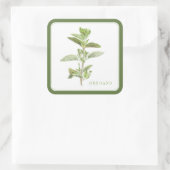 Stickers Carré OREGANO FRAIS (+texte) Vert (Sac)