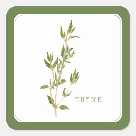 Stickers Carré PEU FRAIS THYME - Vert (Devant)