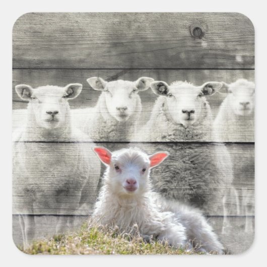 Stickers carrés (Devant)