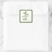Stickers Carrés FRAIS OREGANO (+texte) Vert (Sac)