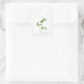 Stickers Carrés FRAIS PARSLEY (Sac)