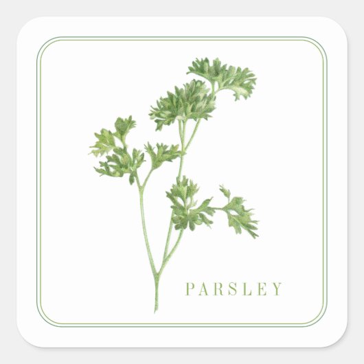 Stickers Carrés FRAIS PARSLEY (Devant)