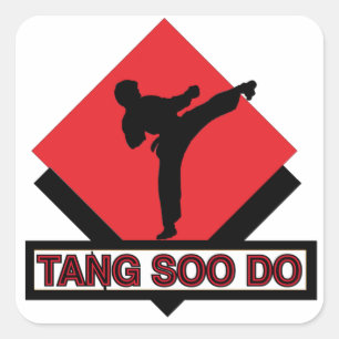 stickers carrés Tang Soo Do