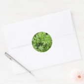 Stickers Carrot Tops (Enveloppe)