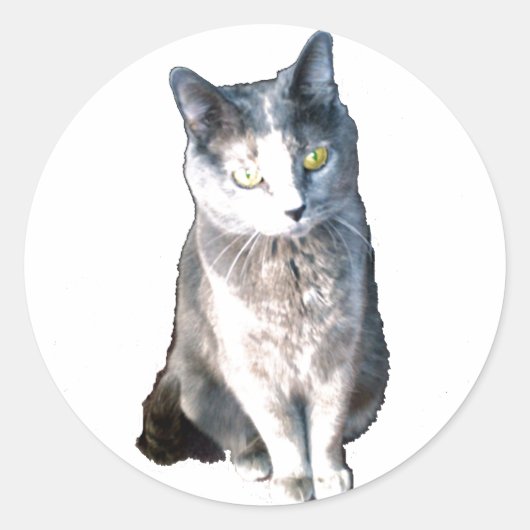 Stickers Cat 11 (Devant)