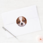 Stickers Cavalier King Charles Spaniel (Enveloppe)