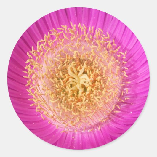 Stickers Centre Fleur Rose (Devant)