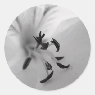 Stickers Centre Geranium B&W