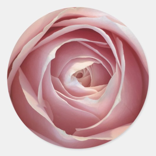 Stickers Cercle Rose (Devant)