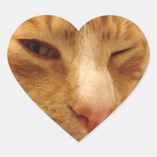 Stickers CGK (Devant)