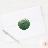 Stickers Champignons (Enveloppe)