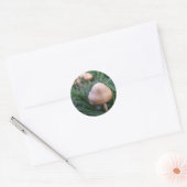 Stickers Champignons (Enveloppe)