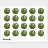 Stickers Champignons (Feuille)