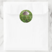 Stickers Champignons (Sac)