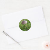 Stickers Champignons (Enveloppe)