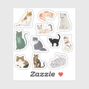 Stickers Chat