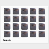 Stickers Chat (Feuille)