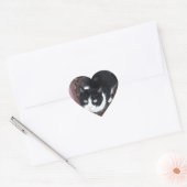Stickers Chat blanc et noir (Enveloppe)