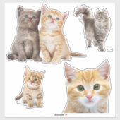 Stickers Chat Chat Chat Gris Orange (Feuille)