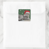 Stickers Chat de Noël (Sac)