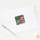 Stickers Chat de Noël (Enveloppe)