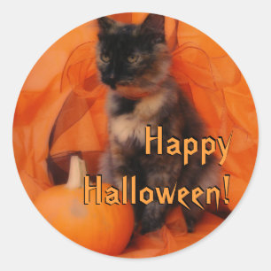 Stickers Chat Halloween