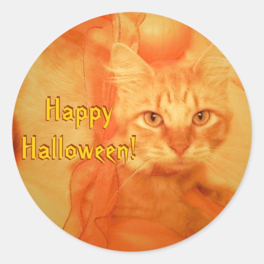 Stickers Chat Halloween (Devant)