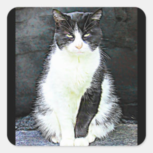 Stickers Chat noir et blanc