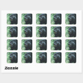 Stickers Chat Panther Noir (Feuille)