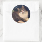 Stickers Chat Sibérien Âne (Sac)