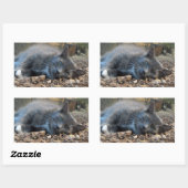 Stickers Chat Sleepy Ombré (Feuille)