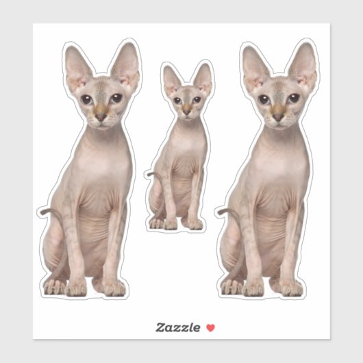 Stickers Chat Sphynx (Feuille)