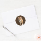 stickers chaton abstraits (Enveloppe)