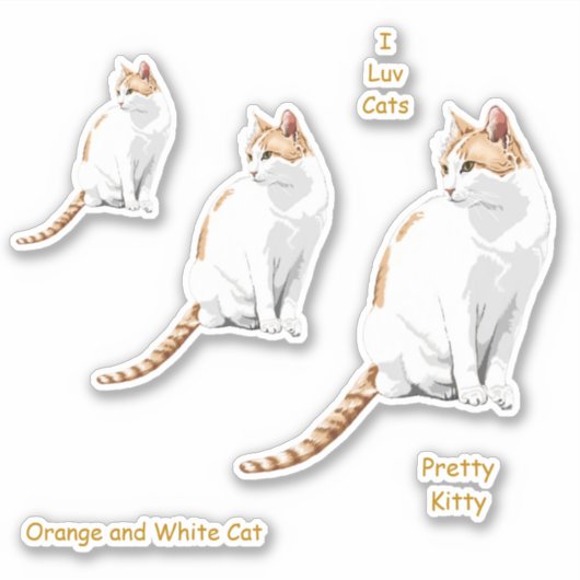 Stickers chats blancs et orange (Devant)
