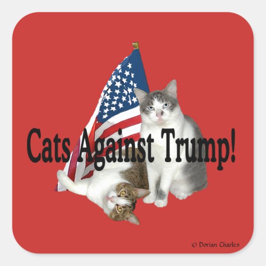 Stickers "Chats contre Trump" (Devant)