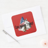 Stickers "Chats contre Trump" (Enveloppe)