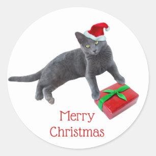 Stickers chats Père Noël gris