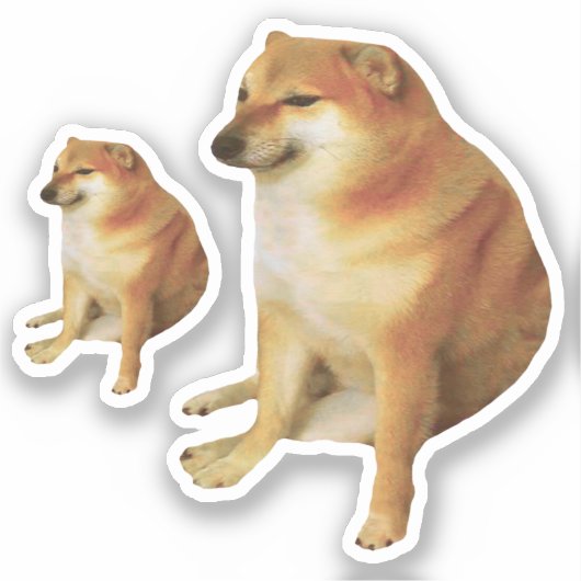 Stickers Cheems Mème (Recto)