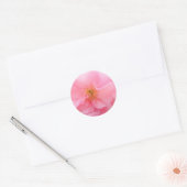 Stickers Cherry Blossom (Enveloppe)