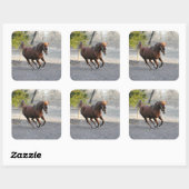 Stickers Cheval Actif (Feuille)