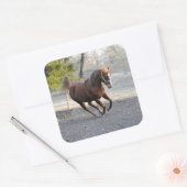 Stickers Cheval Actif (Enveloppe)