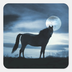 Stickers Cheval Beau Bleu et Lune