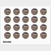 Stickers Cheval Blanc (Feuille)